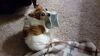 Filename=20210428_001.jpg
Filesize=510KiB
Dimensions=2048x1152
Date added=May 28, 2021 20210428_001.jpg