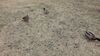 Filename=20210501_004.jpg
Filesize=1021KiB
Dimensions=2048x1152
Date added=Dec 26, 2021 20210501_004.jpg