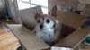 Filename=20210502_001.jpg
Filesize=263KiB
Dimensions=2048x1152
Date added=Dec 26, 2021 20210502_001.jpg