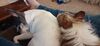 Filename=20210508_002.jpg
Filesize=328KiB
Dimensions=2047x943
Date added=Dec 26, 2021 20210508_002.jpg