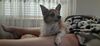 Filename=20210509_001.jpg
Filesize=227KiB
Dimensions=2047x943
Date added=Dec 26, 2021 20210509_001.jpg