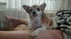 Filename=20210509_002.jpg
Filesize=279KiB
Dimensions=2048x1152
Date added=Dec 26, 2021 20210509_002.jpg