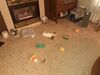 Filename=20210509_016.jpg
Filesize=630KiB
Dimensions=2048x1536
Date added=Dec 26, 2021 20210509_016.jpg