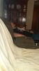 Filename=20210512_004.jpg
Filesize=307KiB
Dimensions=1152x2048
Date added=Dec 26, 2021 20210512_004.jpg