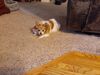 Filename=20210513_002.jpg
Filesize=644KiB
Dimensions=2048x1536
Date added=Dec 26, 2021 20210513_002.jpg
