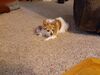 Filename=20210513_003.jpg
Filesize=689KiB
Dimensions=2048x1536
Date added=Dec 26, 2021 20210513_003.jpg