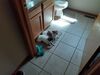 Filename=20210519_001.jpg
Filesize=322KiB
Dimensions=2048x1536
Date added=Dec 26, 2021 20210519_001.jpg