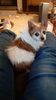 Filename=20210519_002.jpg
Filesize=391KiB
Dimensions=1152x2048
Date added=Dec 26, 2021 20210519_002.jpg