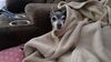 Filename=20210520_001.jpg
Filesize=355KiB
Dimensions=2048x1152
Date added=Dec 26, 2021 20210520_001.jpg