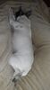 Filename=20210521_002.jpg
Filesize=388KiB
Dimensions=1152x2048
Date added=Dec 26, 2021 20210521_002.jpg