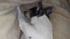 Filename=20210521_003.jpg
Filesize=555KiB
Dimensions=2048x1152
Date added=Dec 26, 2021 20210521_003.jpg