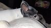 Filename=20210521_005.jpg
Filesize=304KiB
Dimensions=2048x1152
Date added=Dec 26, 2021 20210521_005.jpg