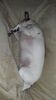 Filename=20210521_006.jpg
Filesize=408KiB
Dimensions=1152x2048
Date added=Dec 26, 2021 20210521_006.jpg