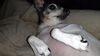 Filename=20210521_007.jpg
Filesize=467KiB
Dimensions=2048x1152
Date added=Dec 26, 2021 20210521_007.jpg