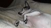 Filename=20210521_008.jpg
Filesize=386KiB
Dimensions=2048x1152
Date added=Dec 26, 2021 20210521_008.jpg