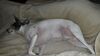 Filename=20210521_009.jpg
Filesize=370KiB
Dimensions=2048x1152
Date added=Dec 26, 2021 20210521_009.jpg