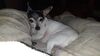 Filename=20210521_010.jpg
Filesize=340KiB
Dimensions=2048x1152
Date added=Dec 26, 2021 20210521_010.jpg