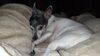 Filename=20210521_012.jpg
Filesize=478KiB
Dimensions=2048x1152
Date added=Dec 26, 2021 20210521_012.jpg
