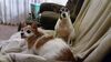 Filename=20210522_001.jpg
Filesize=487KiB
Dimensions=2048x1152
Date added=Dec 26, 2021 20210522_001.jpg
