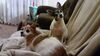 Filename=20210522_002.jpg
Filesize=509KiB
Dimensions=2048x1152
Date added=Dec 26, 2021 20210522_002.jpg