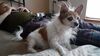 Filename=20210524_002.jpg
Filesize=346KiB
Dimensions=2048x1152
Date added=Dec 26, 2021 20210524_002.jpg