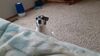 Filename=20210524_003.jpg
Filesize=489KiB
Dimensions=2048x1152
Date added=Dec 26, 2021 20210524_003.jpg