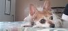 Filename=20210524_004.jpg
Filesize=254KiB
Dimensions=2047x944
Date added=Dec 26, 2021 20210524_004.jpg