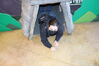 Filename=20210527_011.jpg
Filesize=310KiB
Dimensions=2048x1365
Date added=Dec 28, 2021 20210527_011.jpg