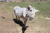 Filename=20210527_025.jpg
Filesize=691KiB
Dimensions=2048x1365
Date added=Dec 28, 2021 20210527_025.jpg