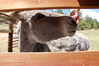Filename=20210527_037.jpg
Filesize=498KiB
Dimensions=2048x1365
Date added=Dec 28, 2021 20210527_037.jpg