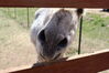 Filename=20210527_038.jpg
Filesize=284KiB
Dimensions=2048x1365
Date added=Dec 28, 2021 20210527_038.jpg