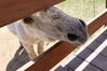 Filename=20210527_039.jpg
Filesize=319KiB
Dimensions=2048x1365
Date added=Dec 28, 2021 20210527_039.jpg