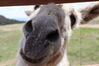 Filename=20210527_043.jpg
Filesize=276KiB
Dimensions=2048x1365
Date added=Dec 28, 2021 20210527_043.jpg