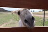 Filename=20210527_046.jpg
Filesize=273KiB
Dimensions=2048x1365
Date added=Dec 28, 2021 20210527_046.jpg