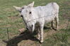 Filename=20210527_058.jpg
Filesize=654KiB
Dimensions=2048x1365
Date added=Dec 28, 2021 20210527_058.jpg
