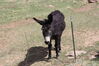 Filename=20210527_059.jpg
Filesize=749KiB
Dimensions=2048x1365
Date added=Dec 28, 2021 20210527_059.jpg