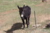 Filename=20210527_060.jpg
Filesize=839KiB
Dimensions=2048x1365
Date added=Dec 28, 2021 20210527_060.jpg