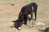 Filename=20210527_061.jpg
Filesize=739KiB
Dimensions=2048x1365
Date added=Dec 28, 2021 20210527_061.jpg