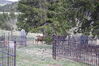 Filename=20210527_067.jpg
Filesize=873KiB
Dimensions=2048x1365
Date added=Dec 28, 2021 20210527_067.jpg