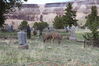 Filename=20210527_068.jpg
Filesize=771KiB
Dimensions=2048x1365
Date added=Dec 28, 2021 20210527_068.jpg