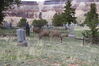Filename=20210527_069.jpg
Filesize=778KiB
Dimensions=2048x1365
Date added=Dec 28, 2021 20210527_069.jpg