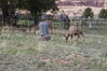 Filename=20210527_070.jpg
Filesize=792KiB
Dimensions=2048x1365
Date added=Dec 28, 2021 20210527_070.jpg