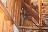 Filename=20210527_145.jpg
Filesize=510KiB
Dimensions=2048x1365
Date added=Dec 28, 2021 20210527_145.jpg