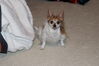 Filename=20210528_001.jpg
Filesize=403KiB
Dimensions=2048x1365
Date added=Dec 28, 2021 20210528_001.jpg