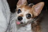 Filename=20210528_002.jpg
Filesize=197KiB
Dimensions=2048x1365
Date added=Dec 28, 2021 20210528_002.jpg