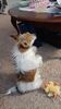 Filename=20210601_003.jpg
Filesize=372KiB
Dimensions=1152x2048
Date added=Dec 28, 2021 20210601_003.jpg