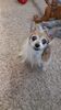 Filename=20210601_004.jpg
Filesize=550KiB
Dimensions=1152x2048
Date added=Dec 28, 2021 20210601_004.jpg