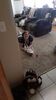 Filename=20210604_030.jpg
Filesize=375KiB
Dimensions=1152x2048
Date added=Dec 28, 2021 20210604_030.jpg