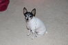 Filename=20210604_031.jpg
Filesize=299KiB
Dimensions=2048x1365
Date added=Dec 28, 2021 20210604_031.jpg