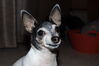 Filename=20210604_032.jpg
Filesize=211KiB
Dimensions=2048x1365
Date added=Dec 28, 2021 20210604_032.jpg